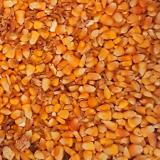 Kukorica, búza alap takarmánykeverék 9 kg