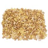 Rasco Dog csont alaku 2,5cm-es jutalomfalatok 2,5kg.jpg