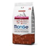 Monge Extra Small Adult Lamb and Rice száraz kutyatáp 2,5 kg