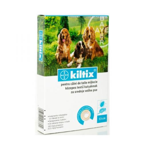 Kiltix M.jpg